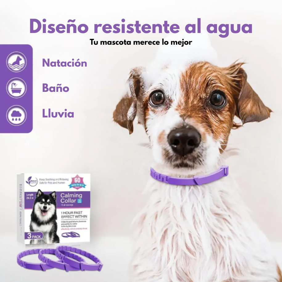 Kit 3 Piezas de Collar Calmante