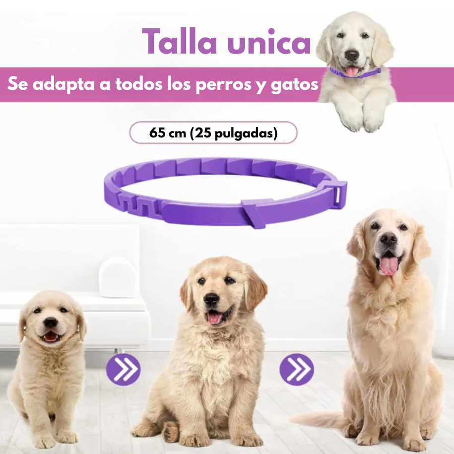 Kit 3 Piezas de Collar Calmante