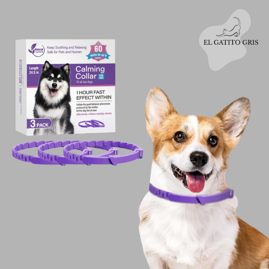 Kit 3 Piezas de Collar Calmante