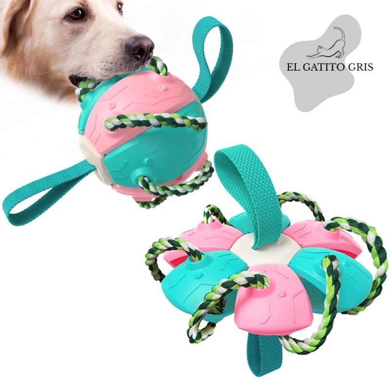 Pelota Fresbee