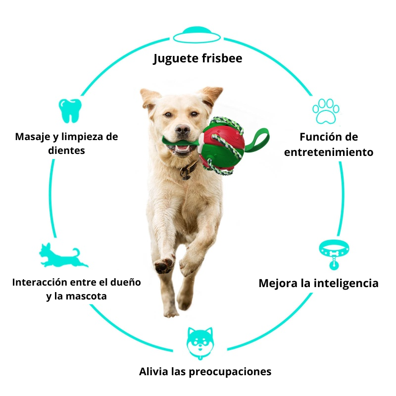 Pelota Fresbee