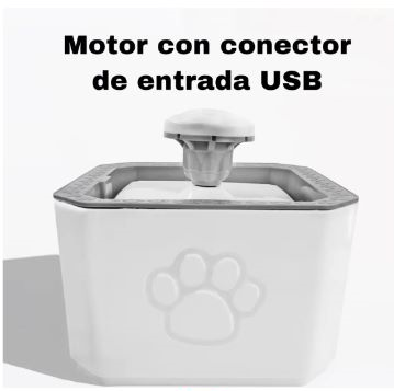 Fuente Dispensador De Agua