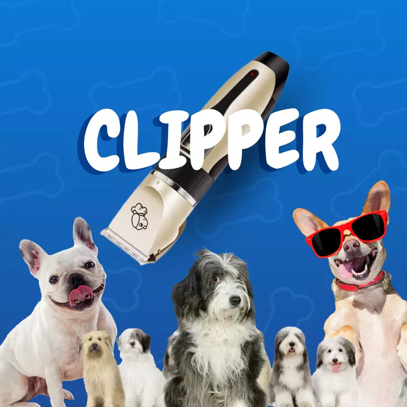 Clipper