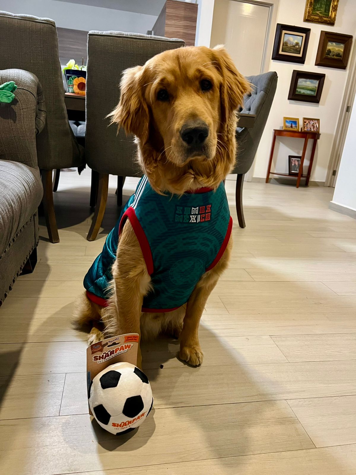 Jersey México Edición Mundial 2026