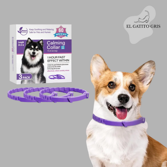 Kit 3 Piezas de Collar Calmante