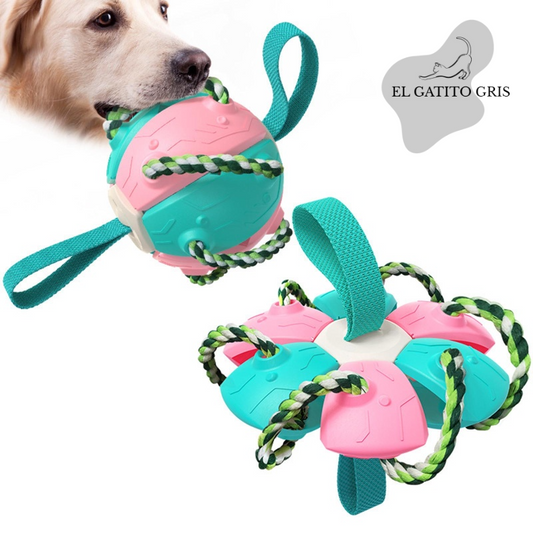 Pelota Fresbee