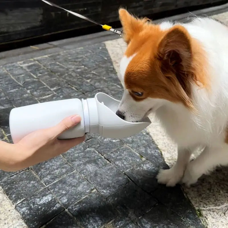 Botella de agua portatil para perros